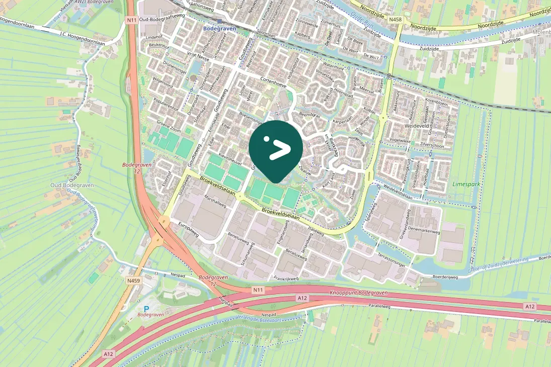 Spotted Eurasian Tree Sparrow