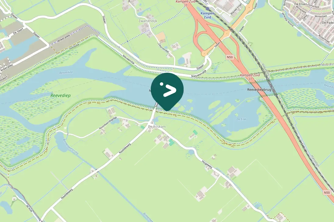 Spotted Green-winged Teal