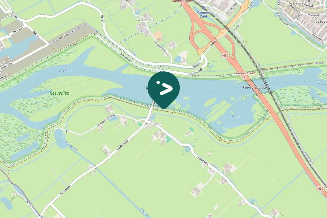 Spotted Black-tailed Godwit