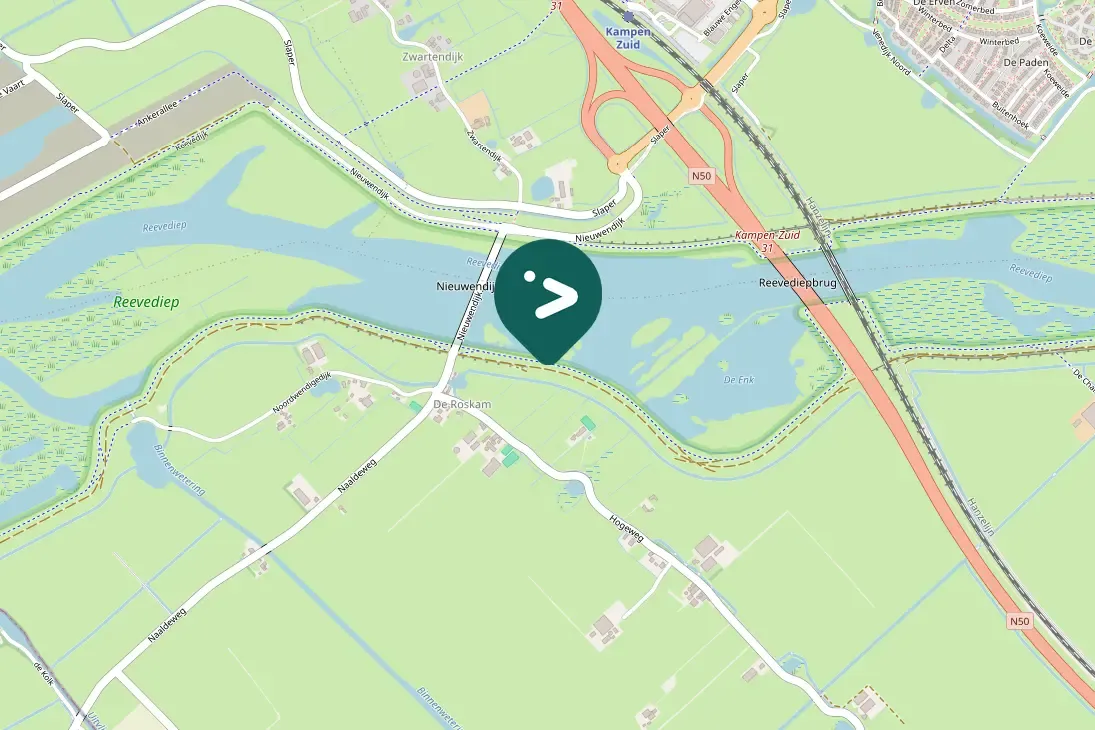 Spotted Eurasian Wigeon