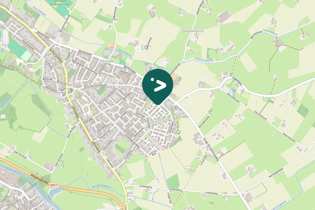 Spotted House Sparrow