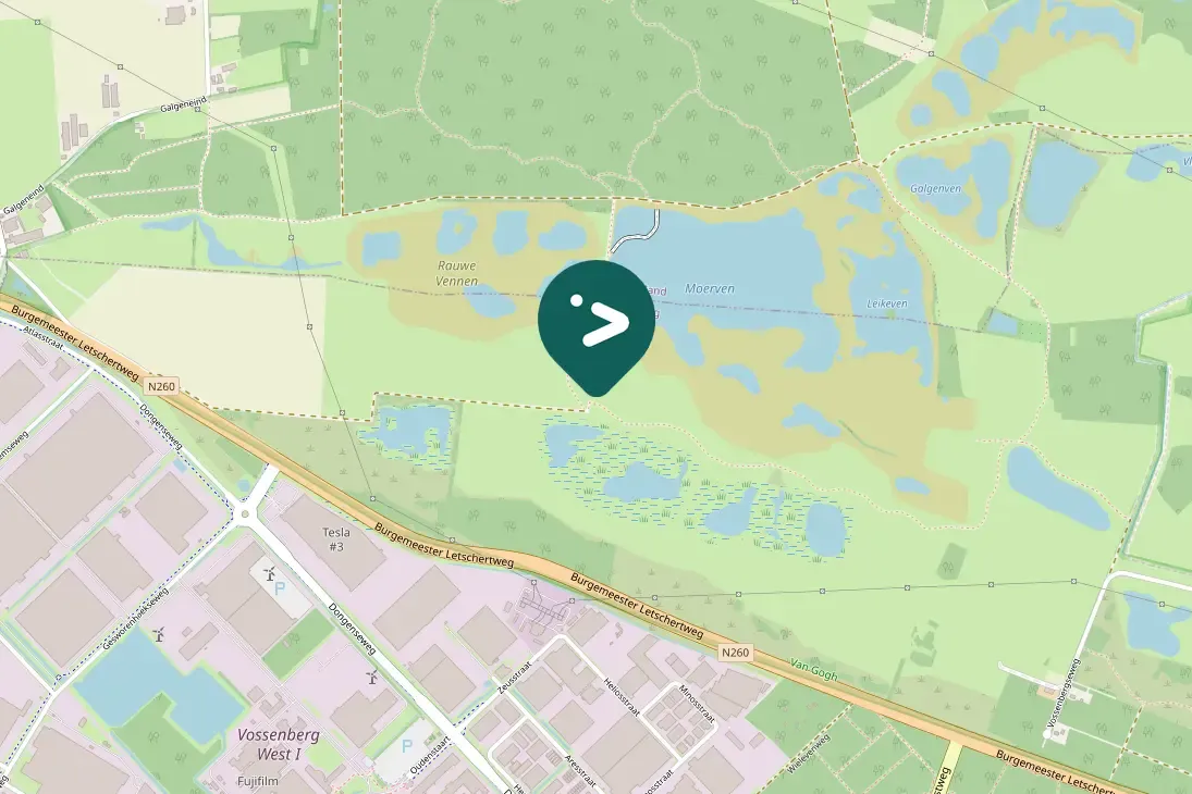 Spotted Eurasian Blackcap