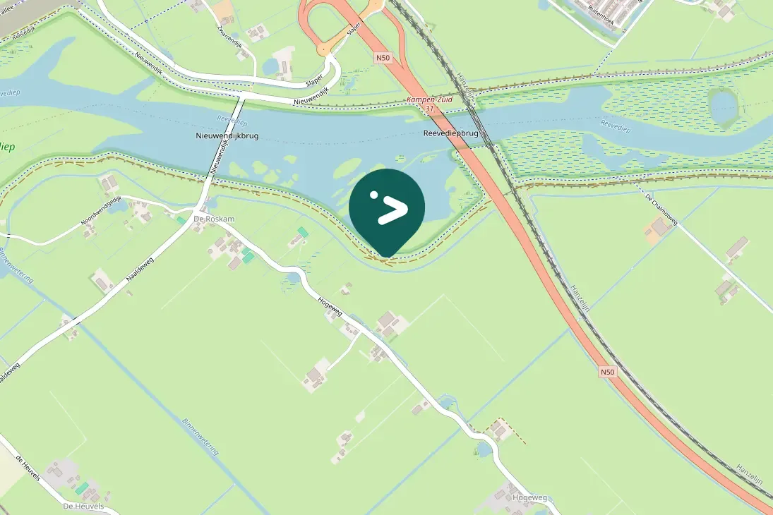 Spotted Canada Goose