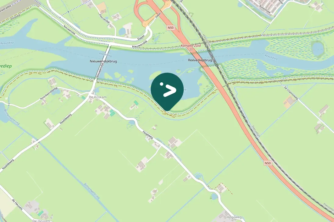 Spotted Canada Goose