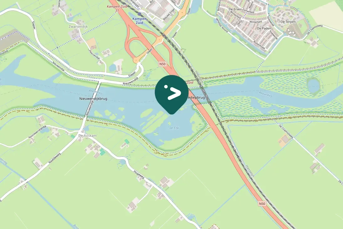 Spotted Eurasian Spoonbill