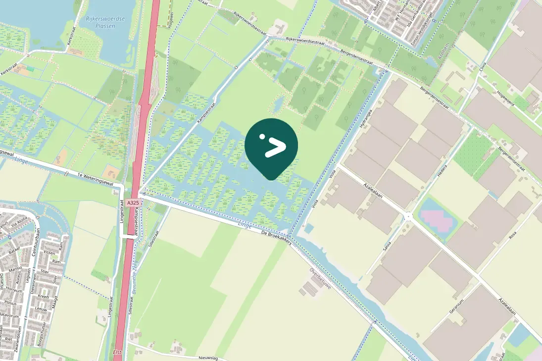 Spotted Common Pochard