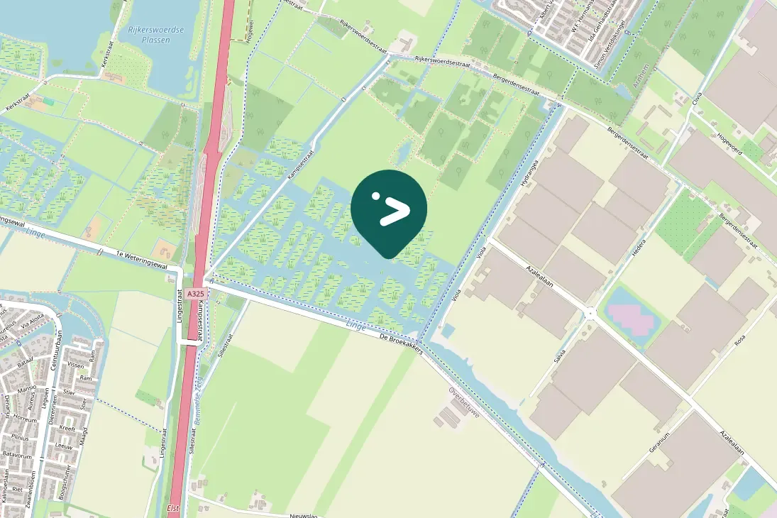 Spotted Green-winged Teal