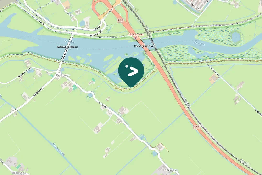 Spotted Eurasian Kestrel