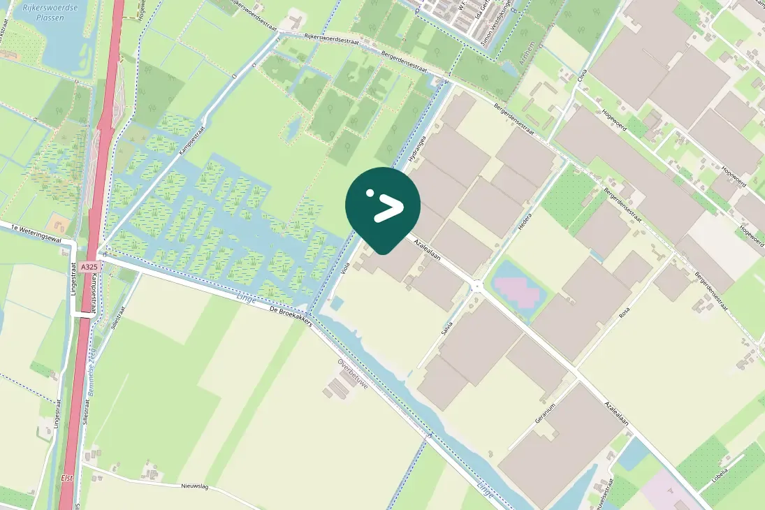 Spotted Eurasian Moorhen