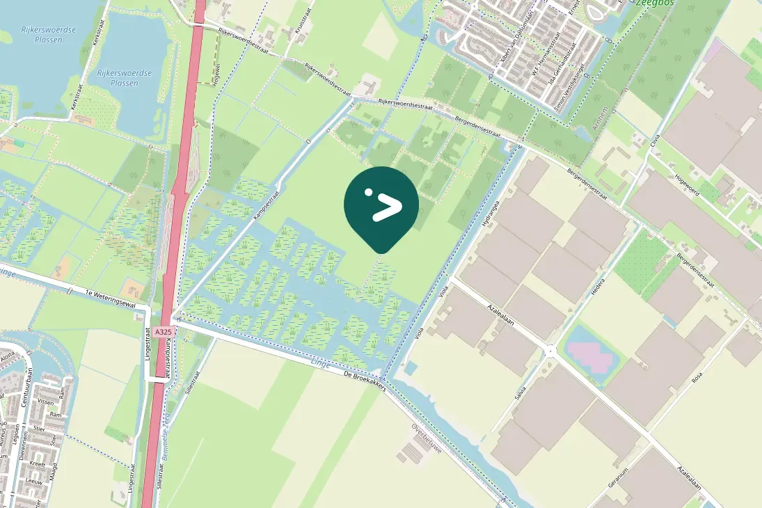 Spotted Greater White-fronted Goose