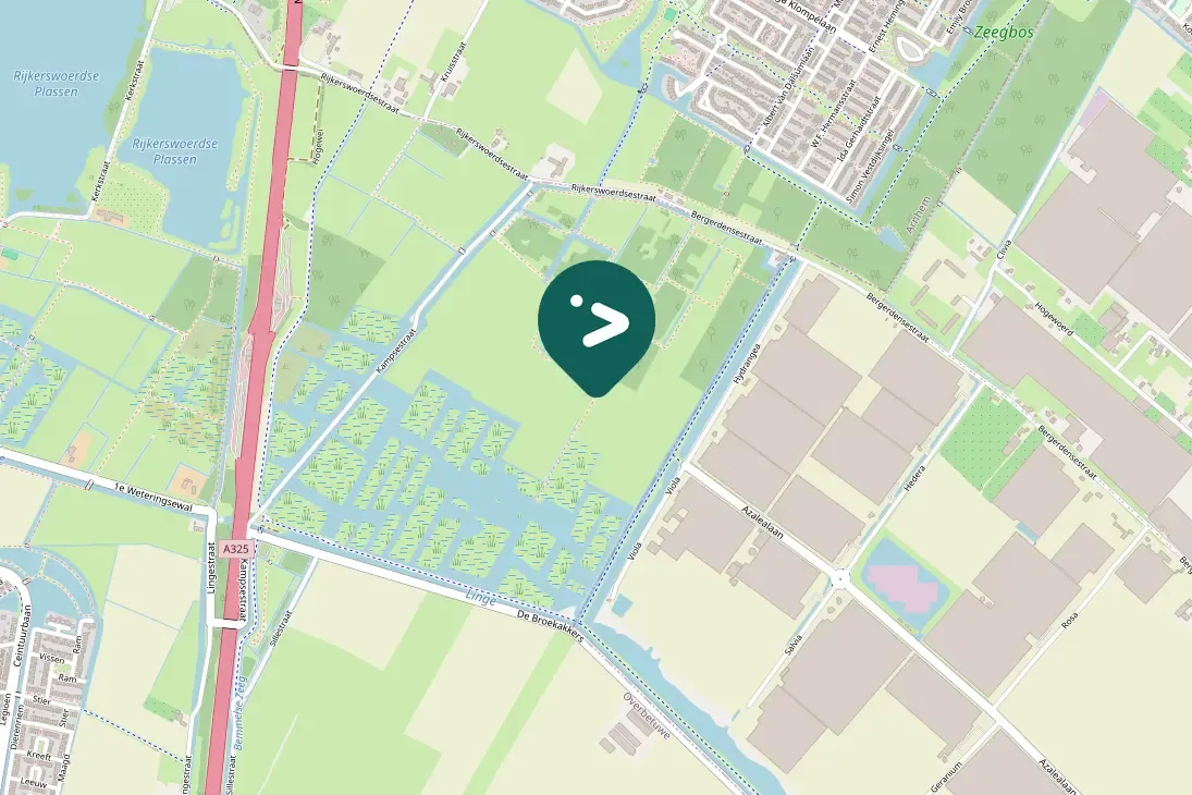 Spotted Meadow Pipit