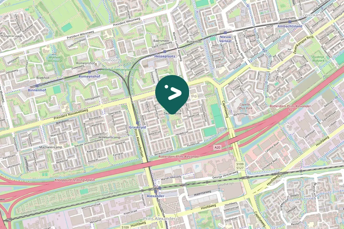 Spotted Eurasian Sparrowhawk