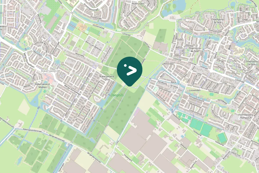 Spotted Eurasian Jay