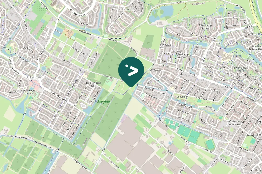 Spotted Eurasian Green Woodpecker