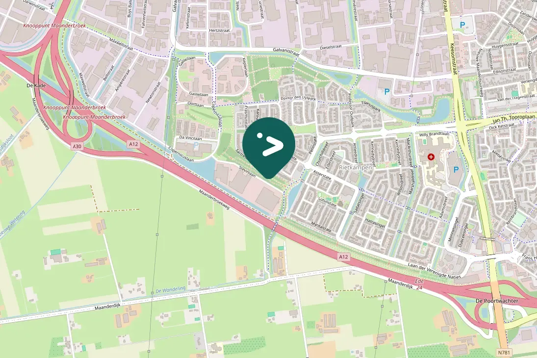 Spotted House Sparrow