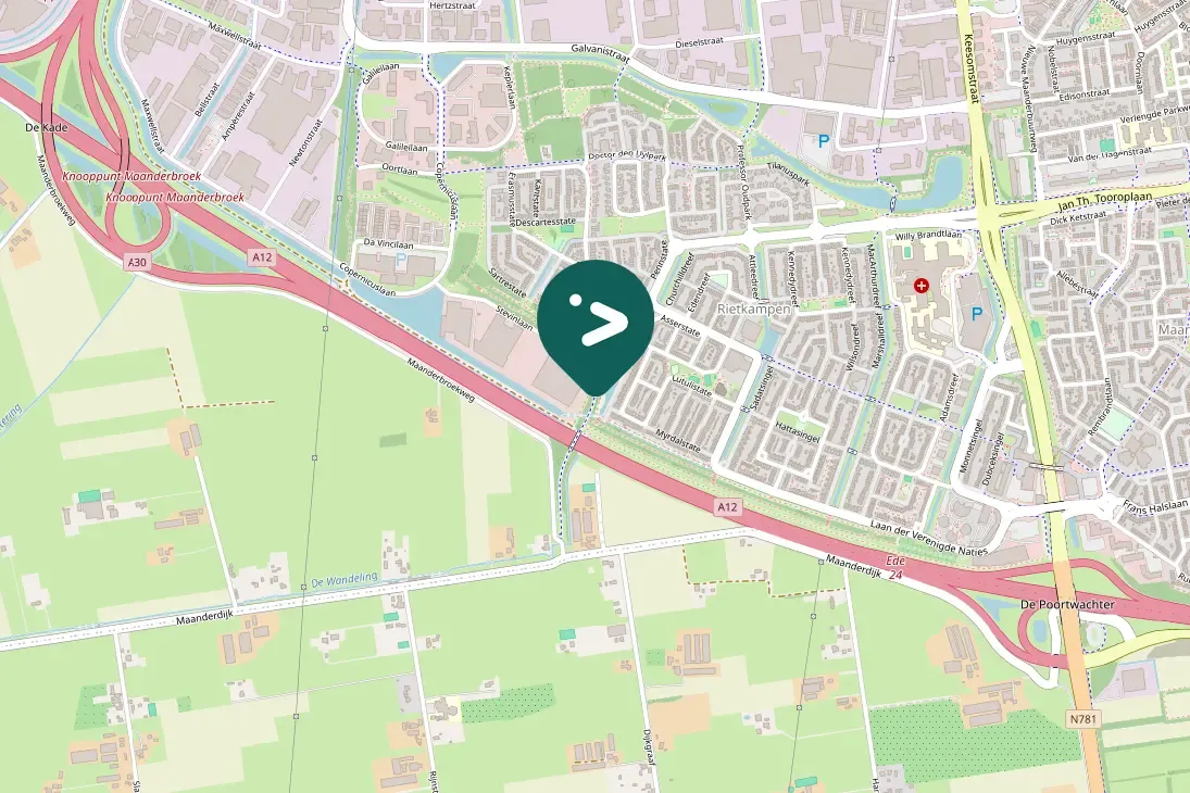 Spotted Eurasian Collared-Dove