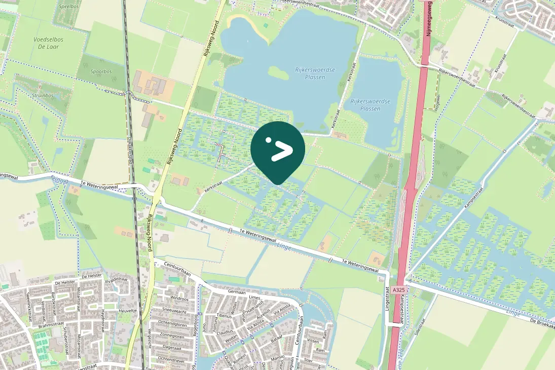 Spotted Eurasian Wigeon