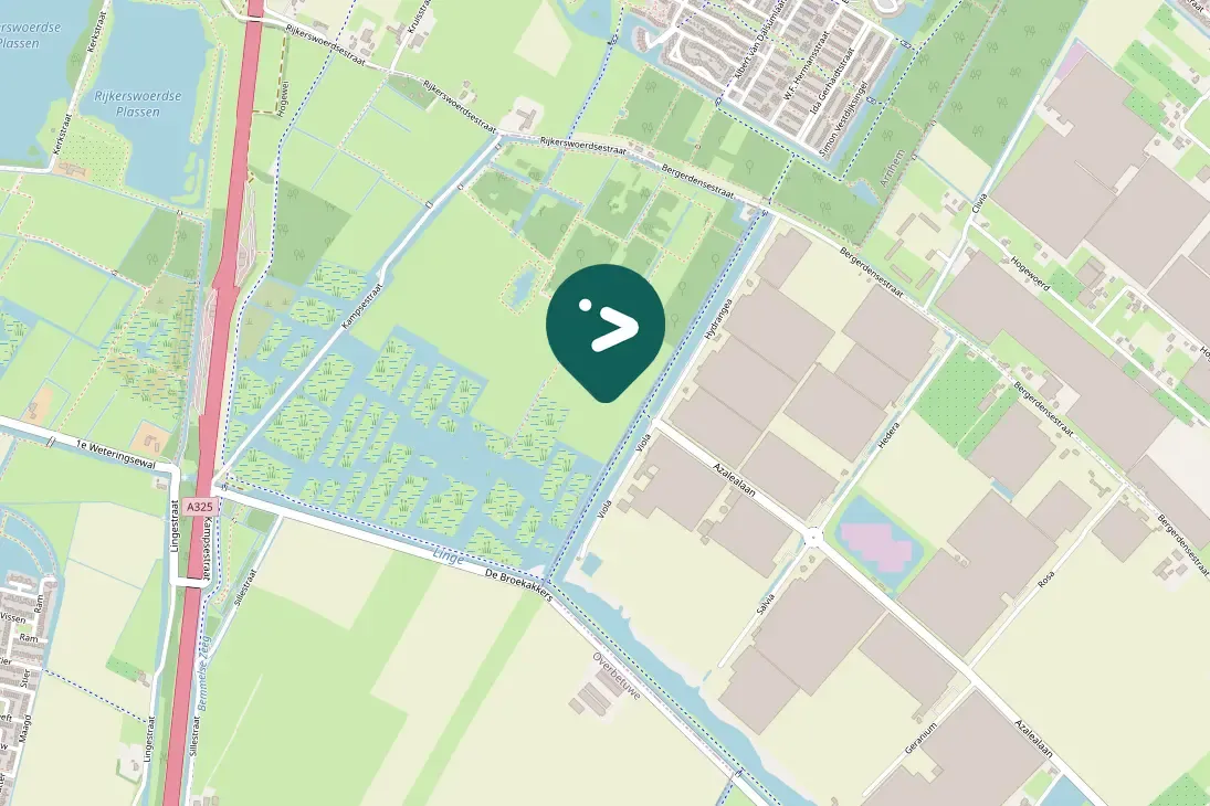 Spotted Bank Swallow