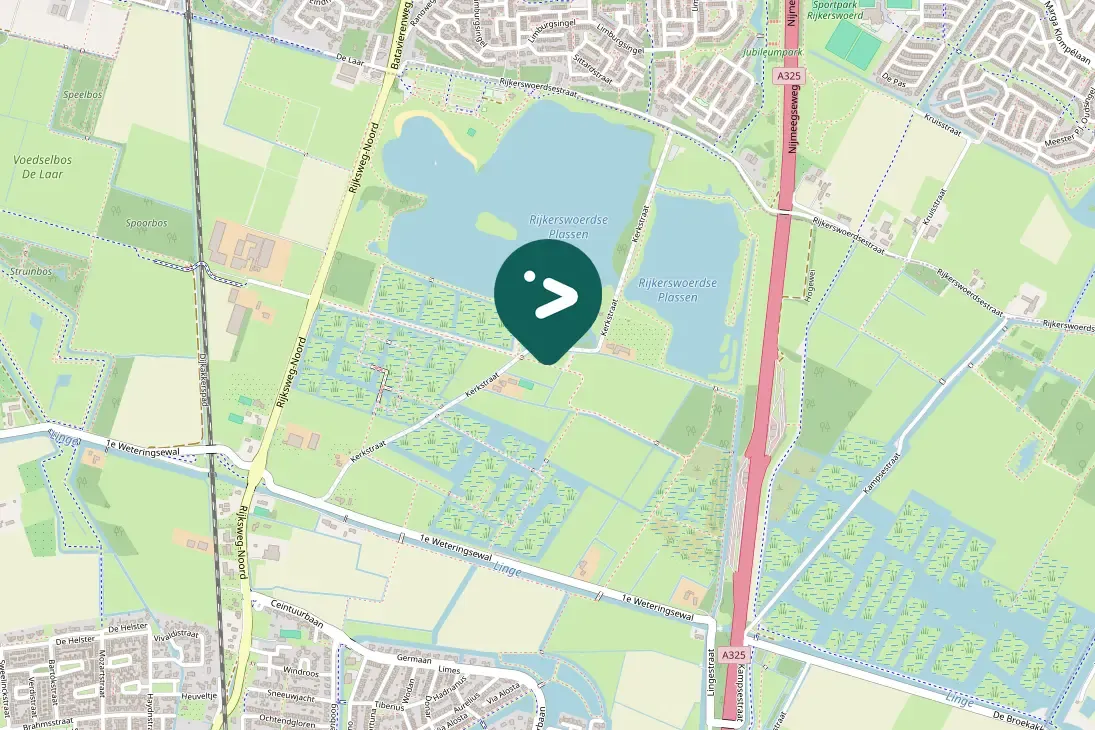 Spotted Ring-necked Pheasant