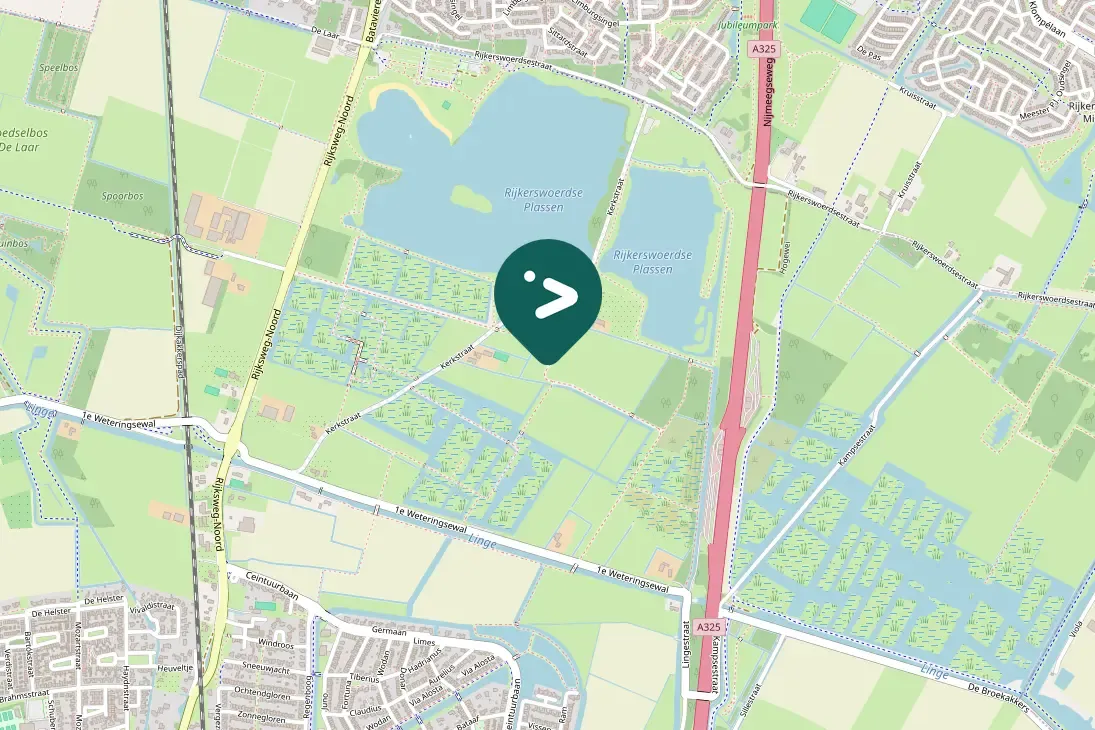 Spotted Common Kingfisher