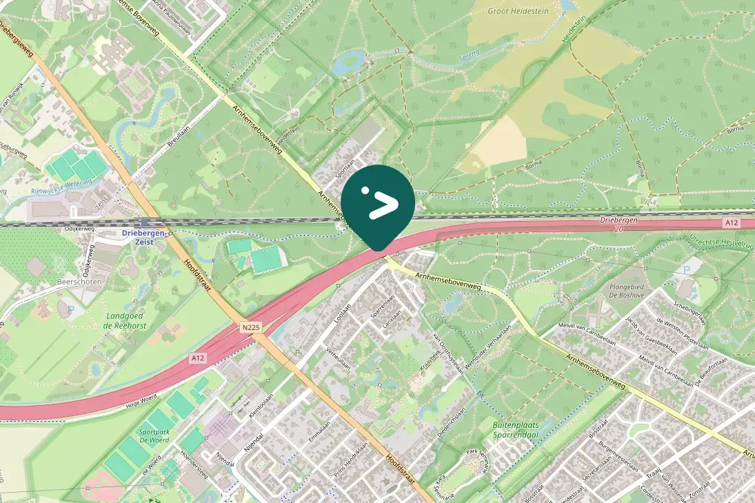 Spotted Common Raven