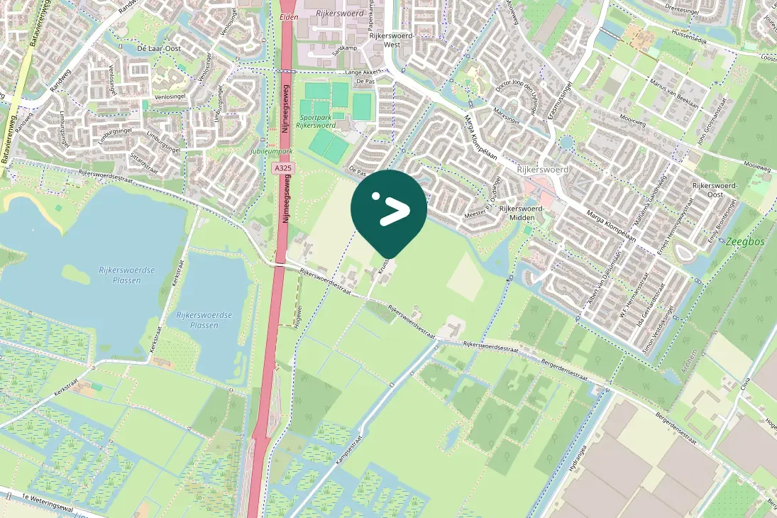 Spotted Northern Lapwing