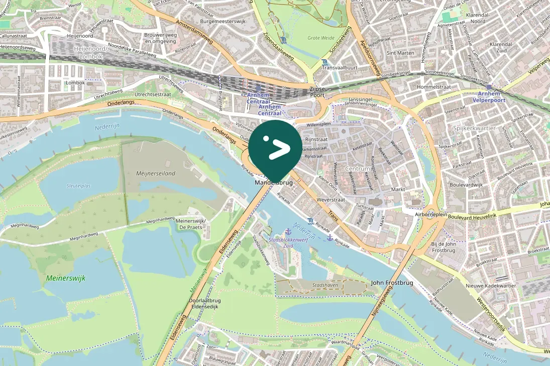 Spotted European Herring Gull