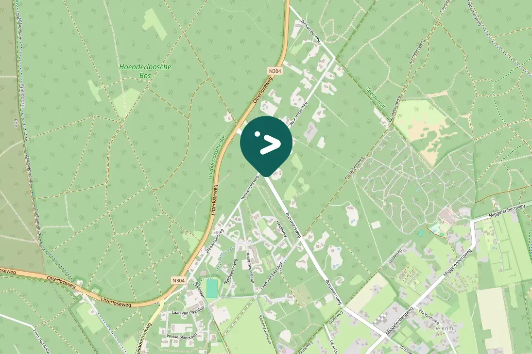 Spotted Western Marsh Harrier