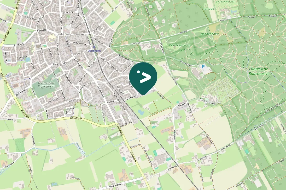 Spotted Eurasian Jay