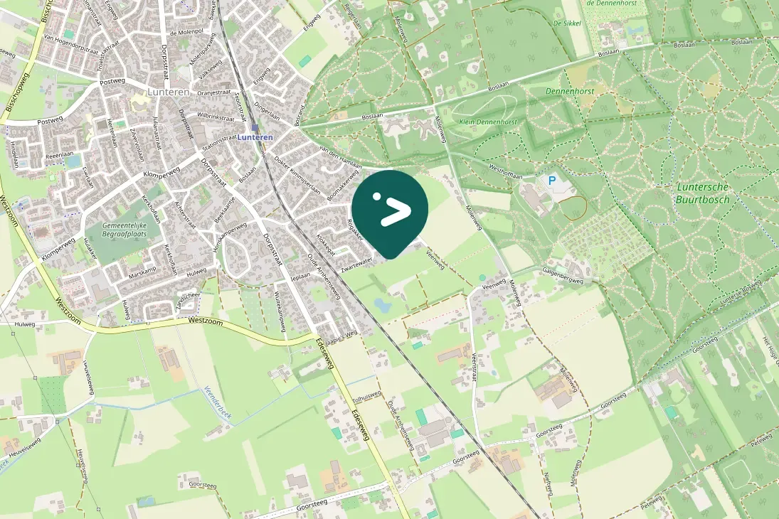 Spotted Eurasian Kestrel