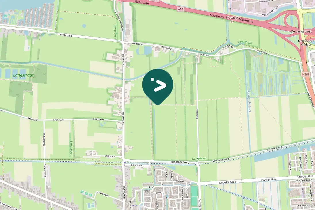 Spotted Ring-necked Pheasant