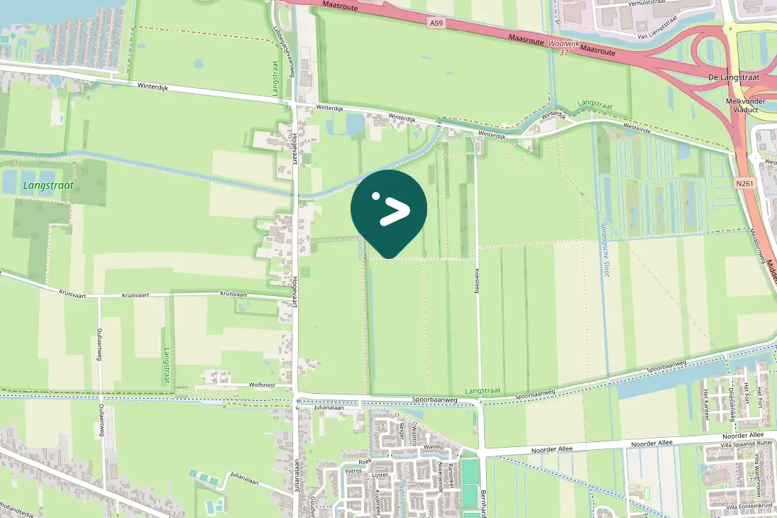 Spotted Northern Lapwing