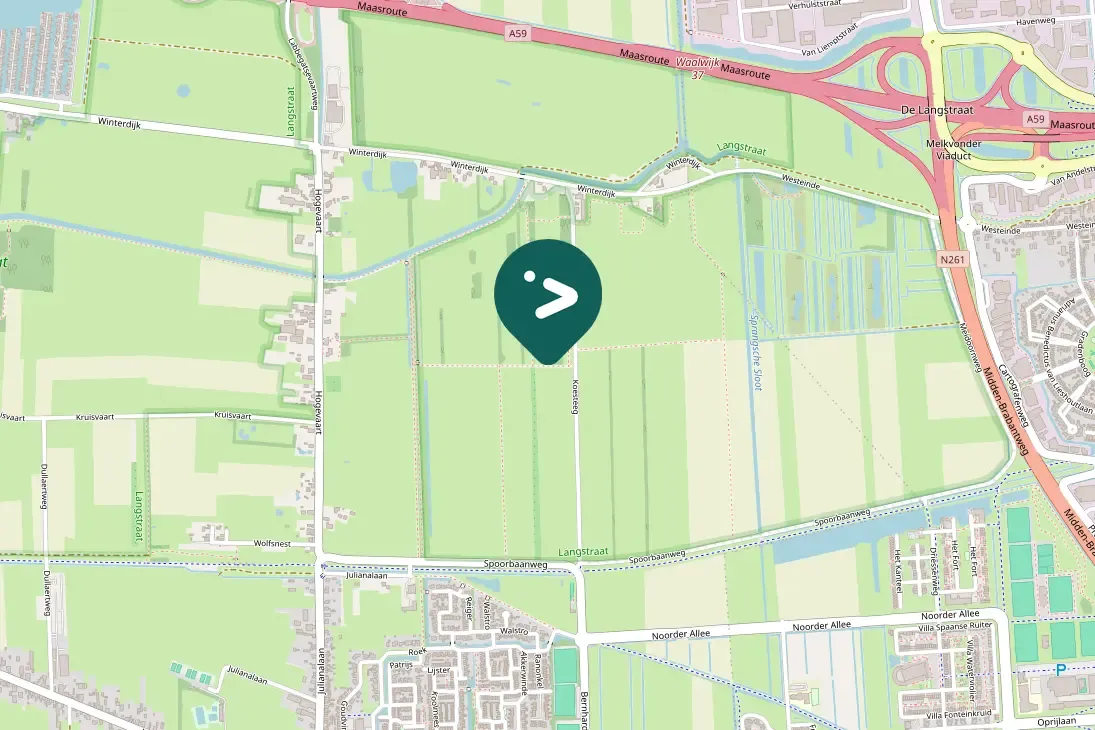 Spotted Common Buzzard