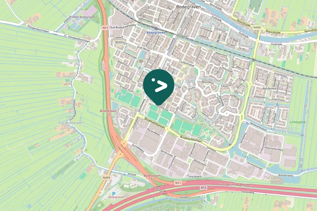 Spotted Black-headed Gull