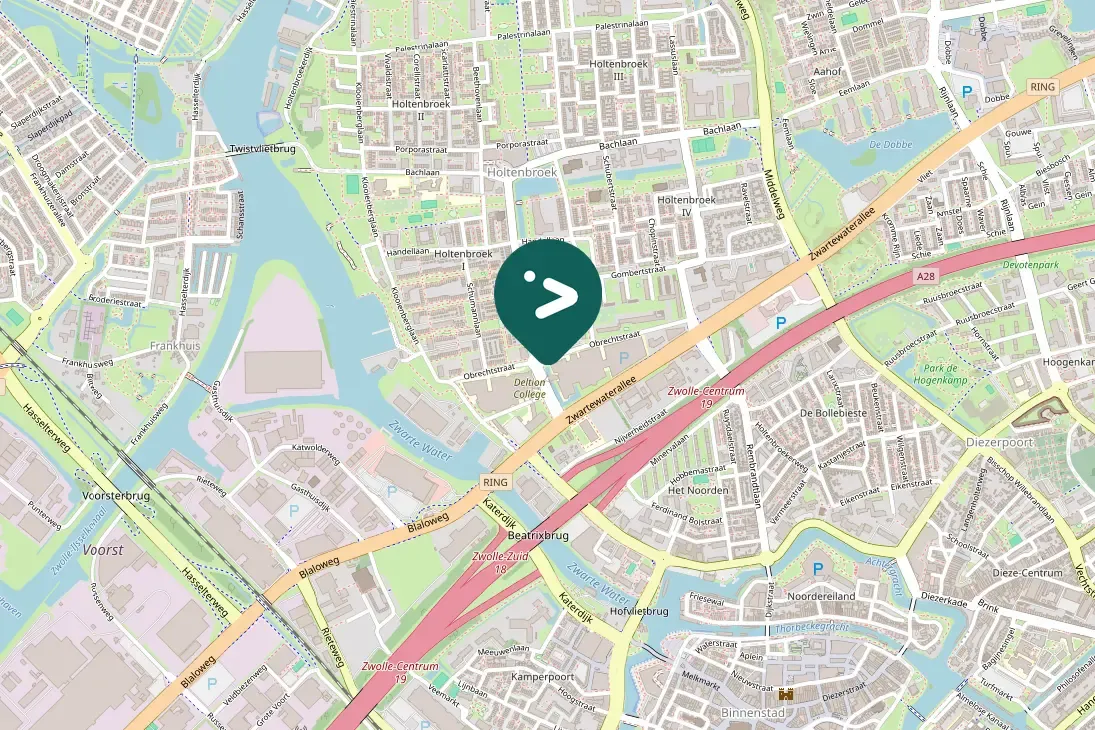 Spotted Eurasian Oystercatcher