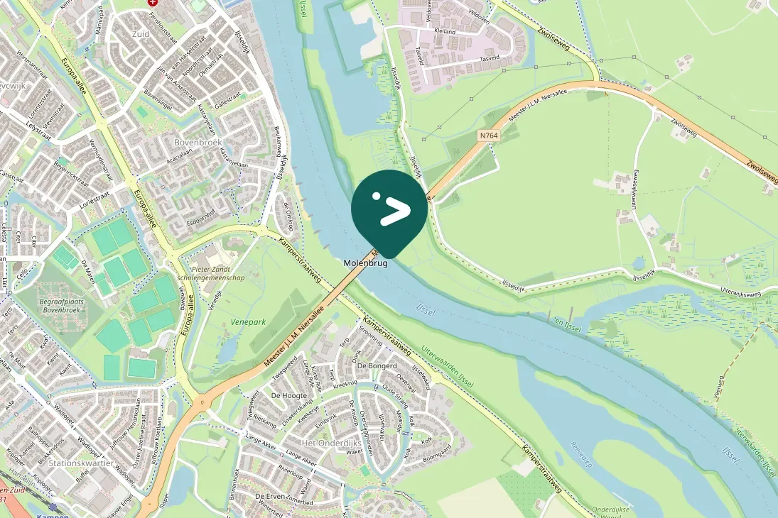 Spotted Great Cormorant