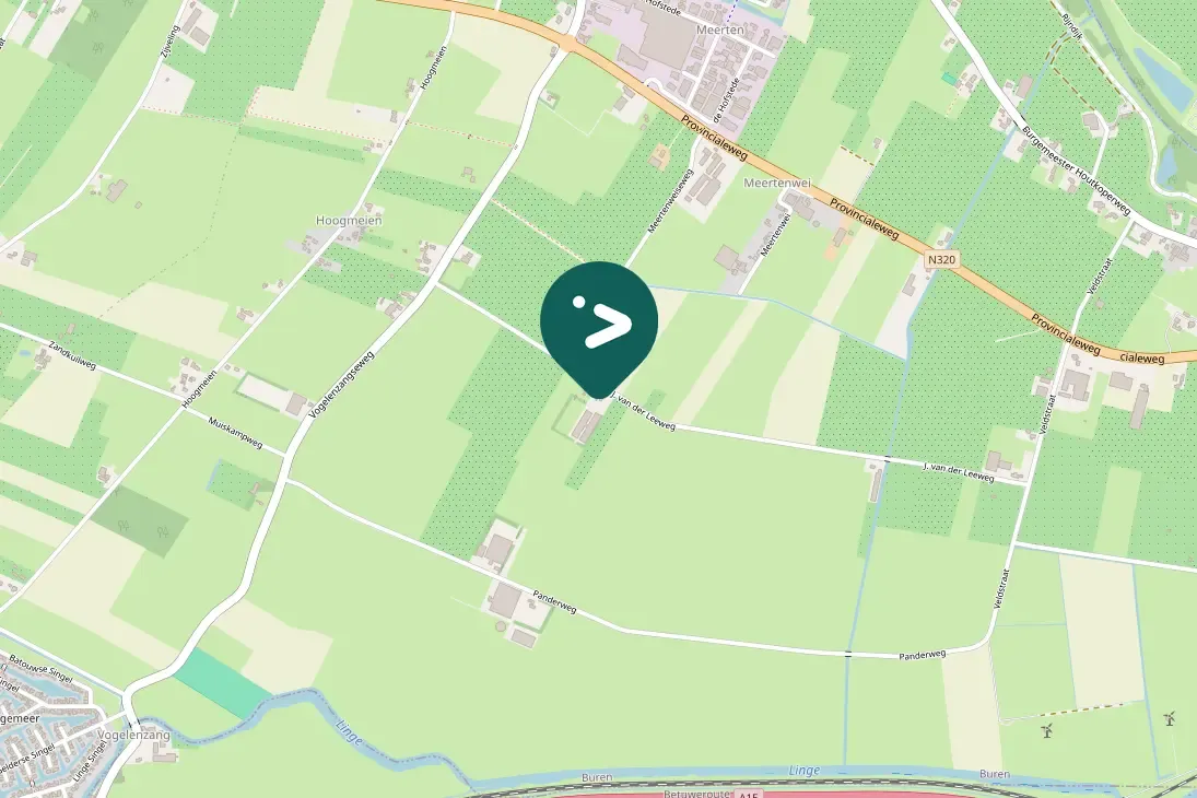 Spotted Middle Spotted Woodpecker