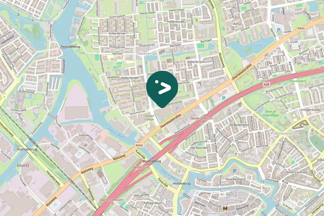 Spotted Eurasian Jackdaw