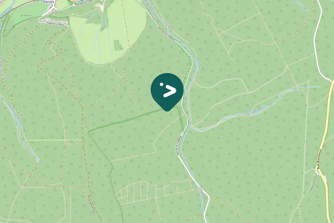 Spotted Carrion Crow