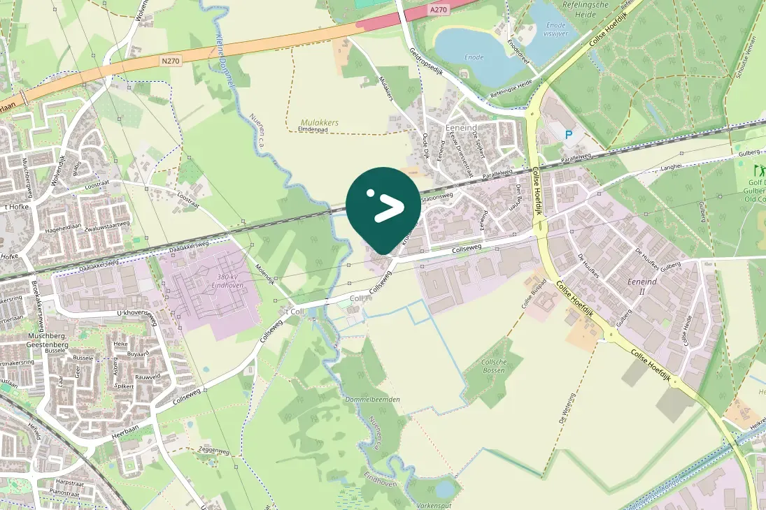 Spotted Eurasian Oystercatcher