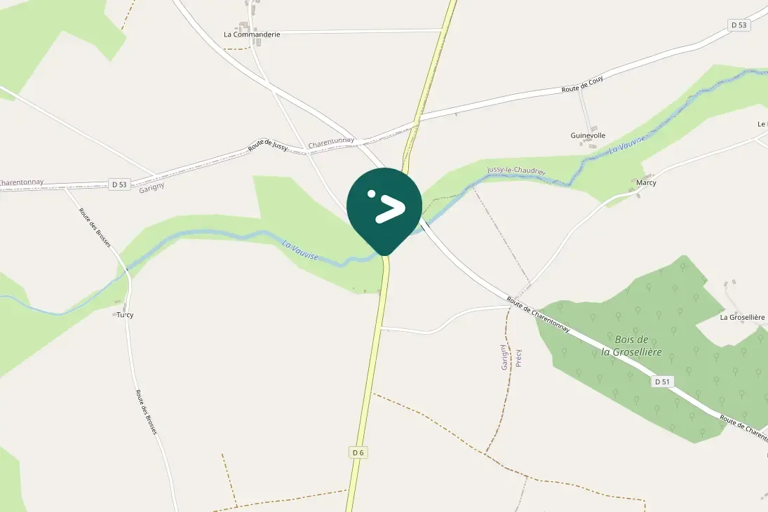 Spotted Ring-necked Pheasant