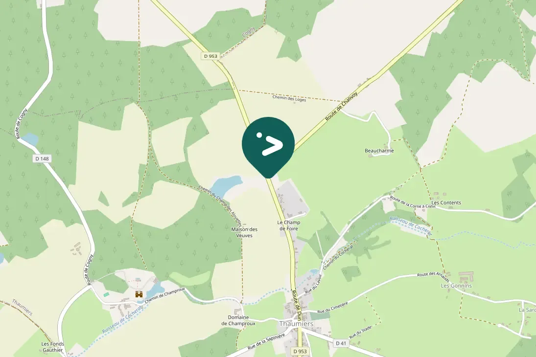 Spotted Eurasian Sparrowhawk