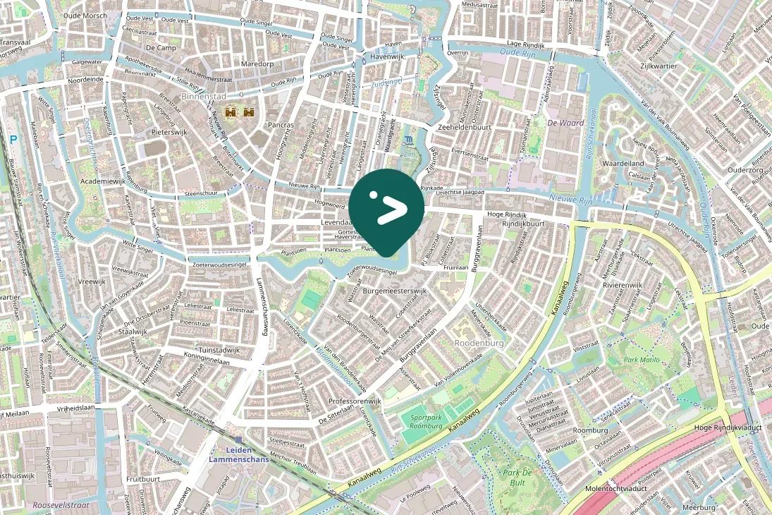 Spotted Carrion Crow