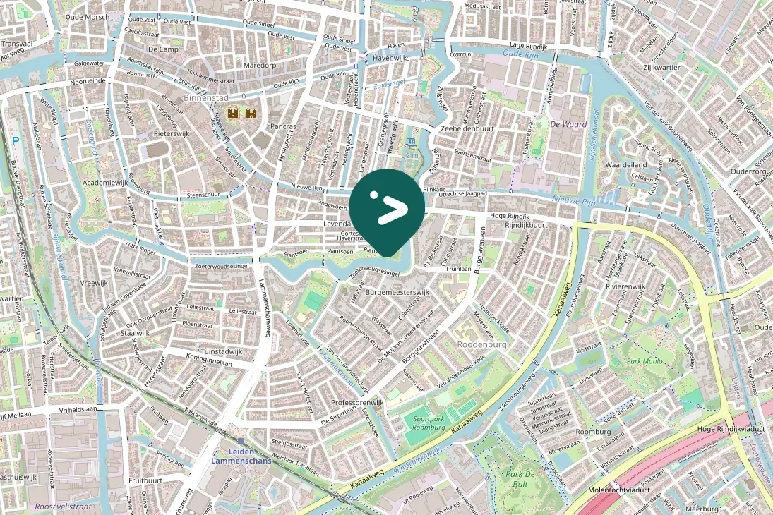 Spotted European Goldfinch