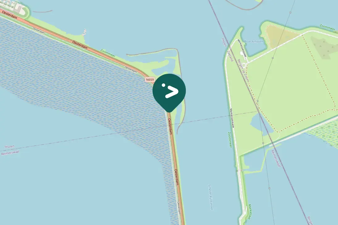 Spotted Eurasian Spoonbill