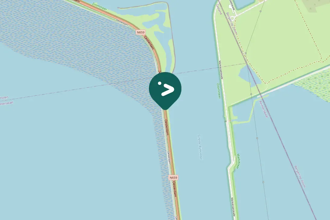 Spotted European Herring Gull