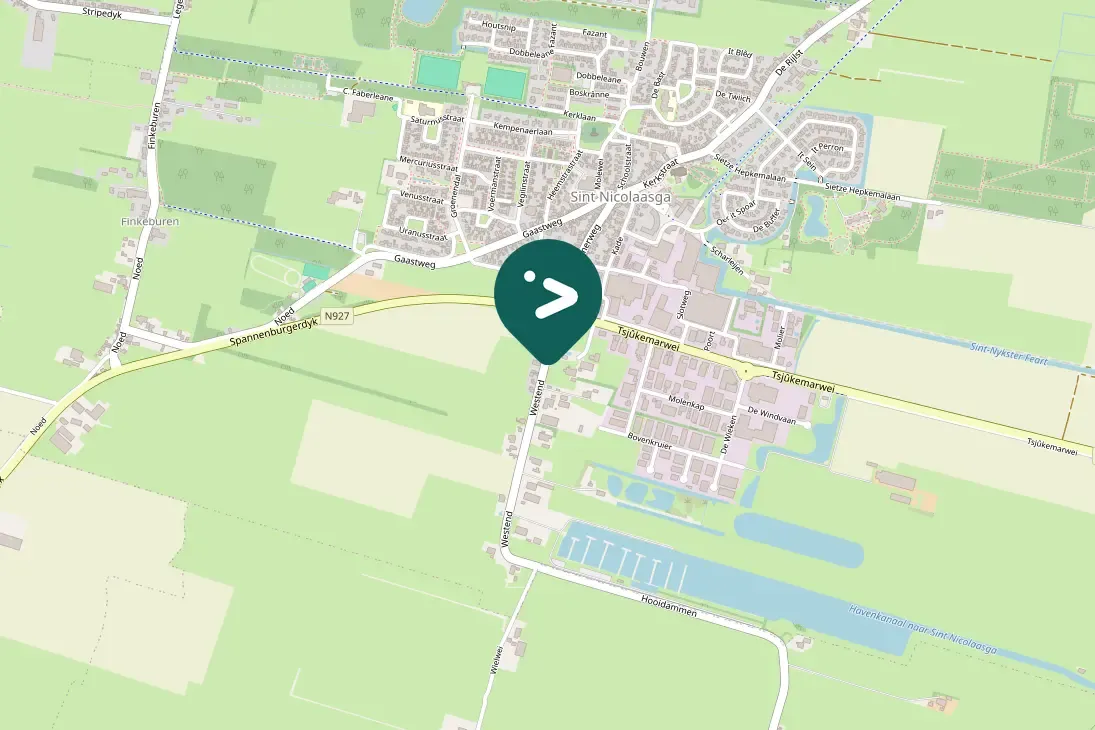 Spotted Great Spotted Woodpecker