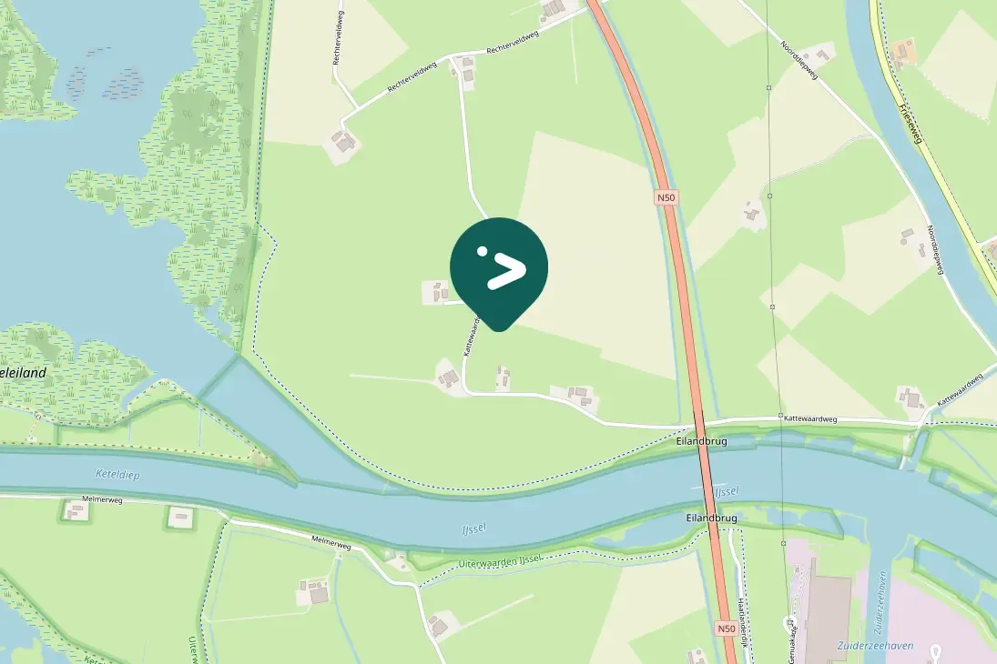 Spotted White-tailed Eagle