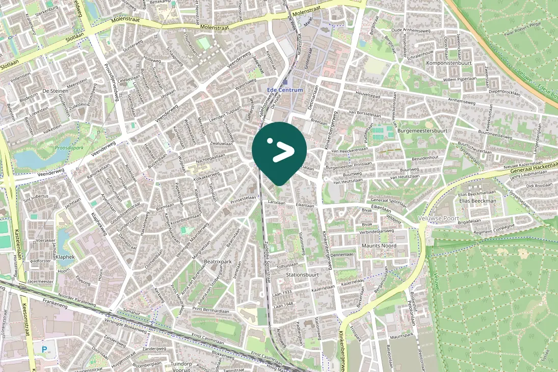 Spotted Mistle Thrush