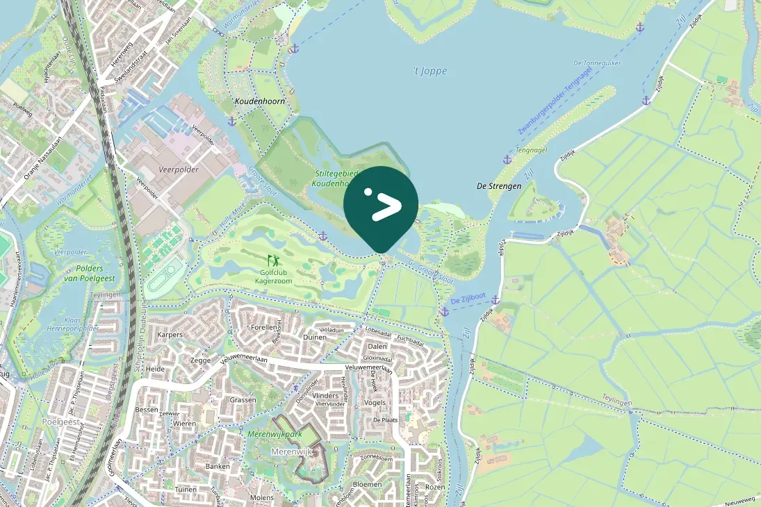 Spotted Barn Swallow